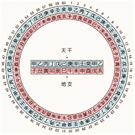 75年 天干地支